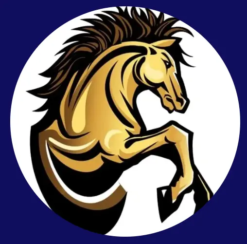 Company Icon